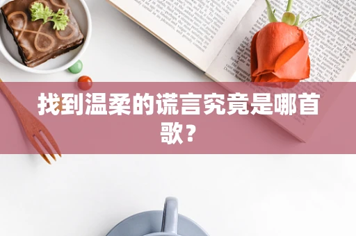 找到温柔的谎言究竟是哪首歌？