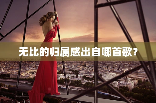 无比的归属感出自哪首歌？