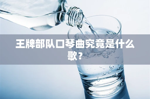 王牌部队口琴曲究竟是什么歌？