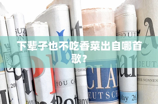 下辈子也不吃香菜出自哪首歌？