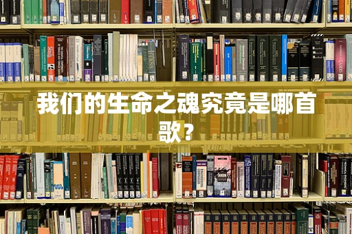 我们的生命之魂究竟是哪首歌？