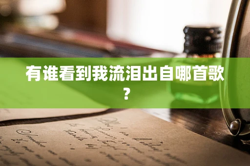 有谁看到我流泪出自哪首歌？