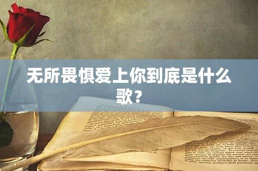 无所畏惧爱上你到底是什么歌？