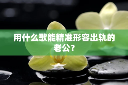 用什么歌能精准形容出轨的老公？