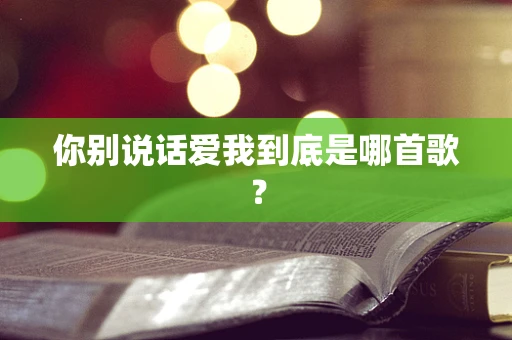 你别说话爱我到底是哪首歌？