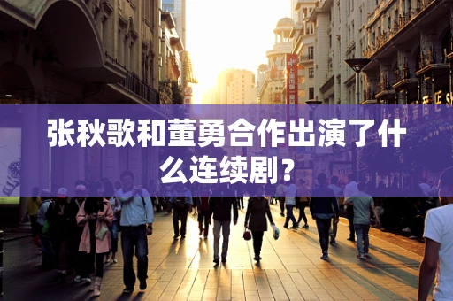张秋歌和董勇合作出演了什么连续剧？