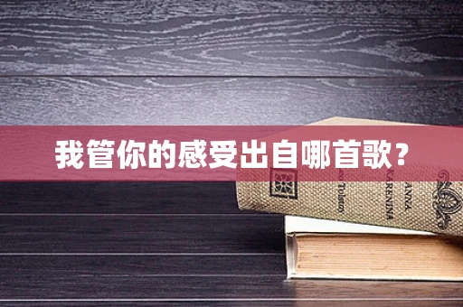 我管你的感受出自哪首歌？