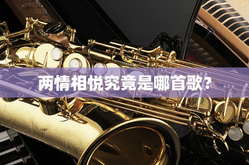 两情相悦究竟是哪首歌？