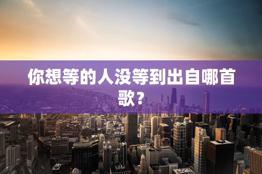 你想等的人没等到出自哪首歌？