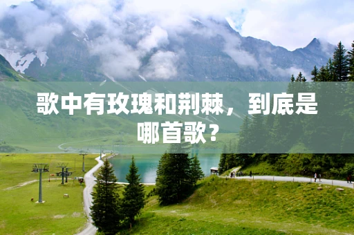 歌中有玫瑰和荆棘，到底是哪首歌？