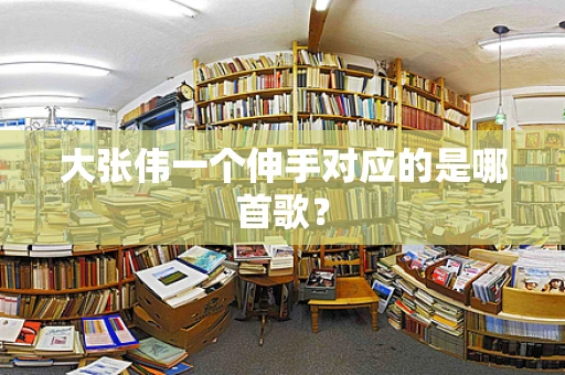 大张伟一个伸手对应的是哪首歌？