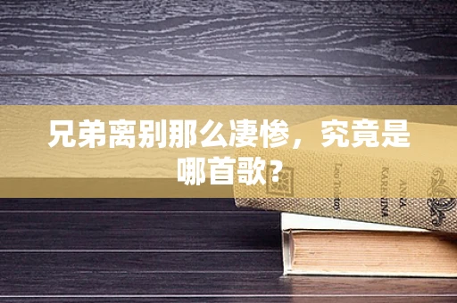 兄弟离别那么凄惨，究竟是哪首歌？