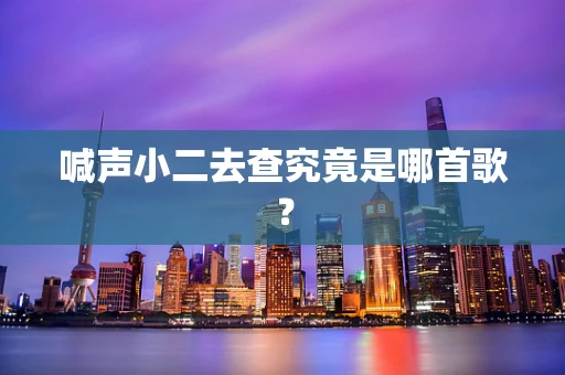 喊声小二去查究竟是哪首歌？