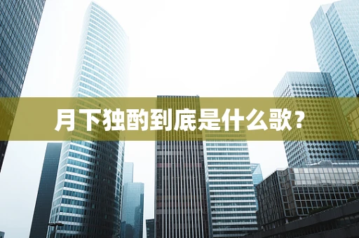 月下独酌到底是什么歌？