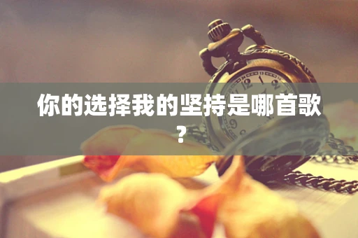 你的选择我的坚持是哪首歌？