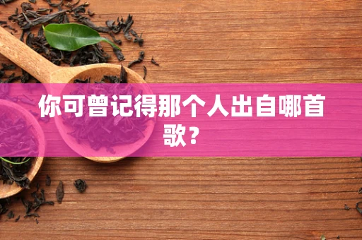 你可曾记得那个人出自哪首歌？