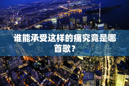 谁能承受这样的痛究竟是哪首歌？