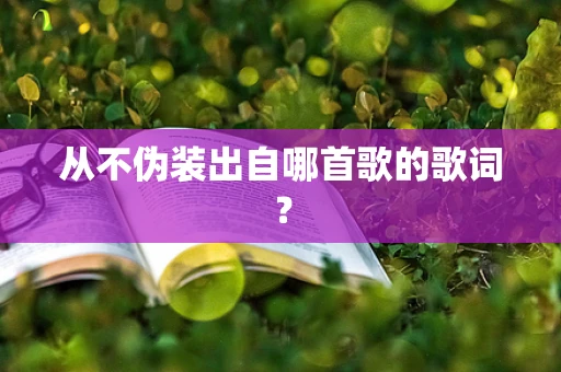 从不伪装出自哪首歌的歌词？