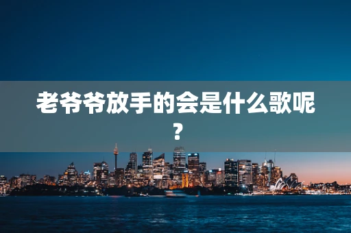 老爷爷放手的会是什么歌呢？
