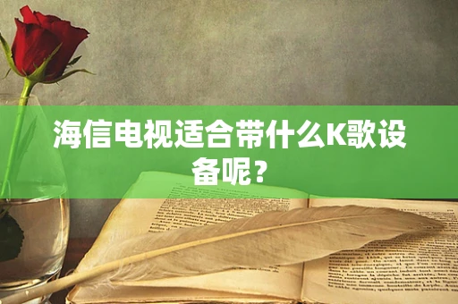 海信电视适合带什么K歌设备呢？