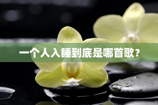 一个人入睡到底是哪首歌？