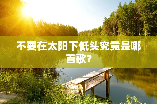 不要在太阳下低头究竟是哪首歌？