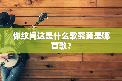 你纹问这是什么歌究竟是哪首歌？