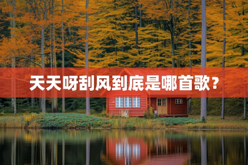 天天呀刮风到底是哪首歌？