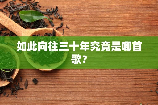 如此向往三十年究竟是哪首歌？
