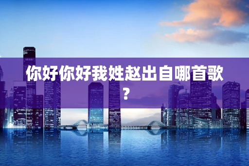 你好你好我姓赵出自哪首歌？