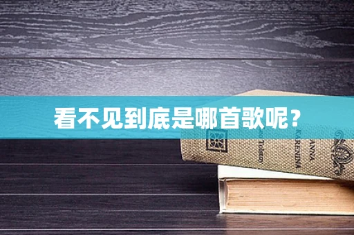 看不见到底是哪首歌呢？