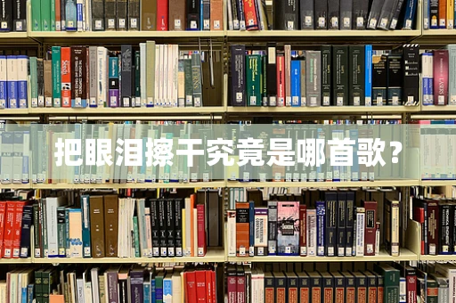 把眼泪擦干究竟是哪首歌？