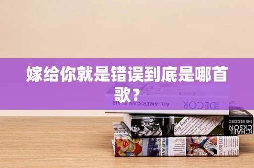嫁给你就是错误到底是哪首歌？