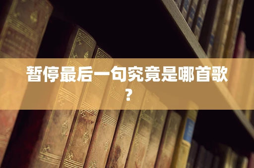 暂停最后一句究竟是哪首歌？