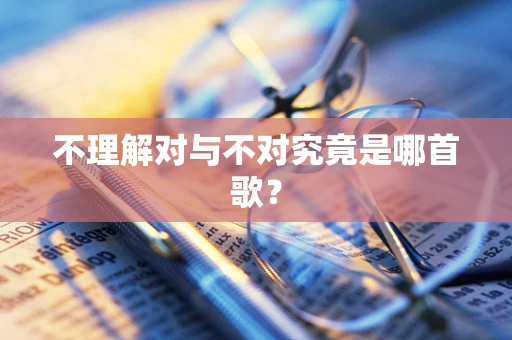 不理解对与不对究竟是哪首歌？