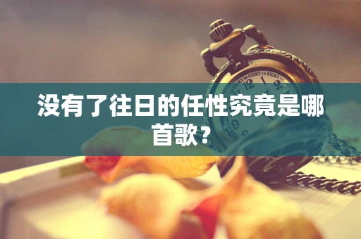 没有了往日的任性究竟是哪首歌？