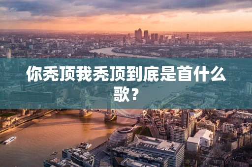 你秃顶我秃顶到底是首什么歌？