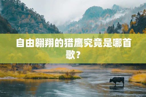 自由翱翔的猎鹰究竟是哪首歌？