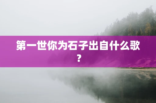 第一世你为石子出自什么歌？