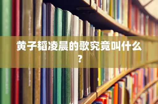 黄子韬凌晨的歌究竟叫什么？