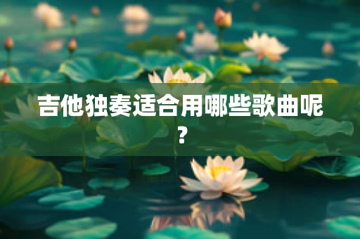 吉他独奏适合用哪些歌曲呢？