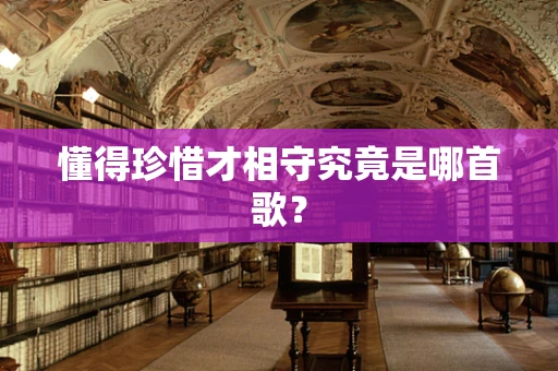 懂得珍惜才相守究竟是哪首歌？