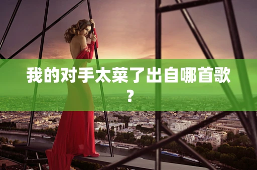 我的对手太菜了出自哪首歌？