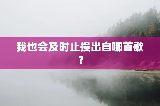 我也会及时止损出自哪首歌？