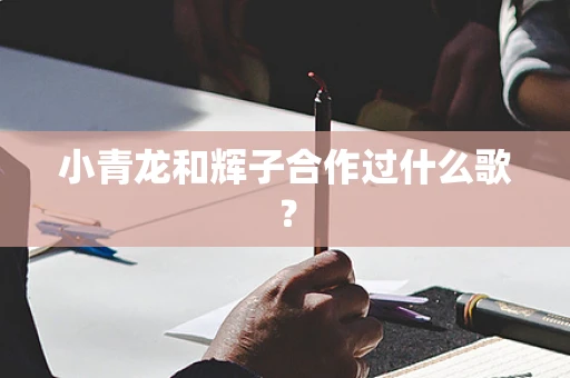 小青龙和辉子合作过什么歌？