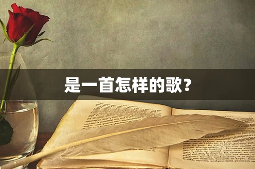 是一首怎样的歌？