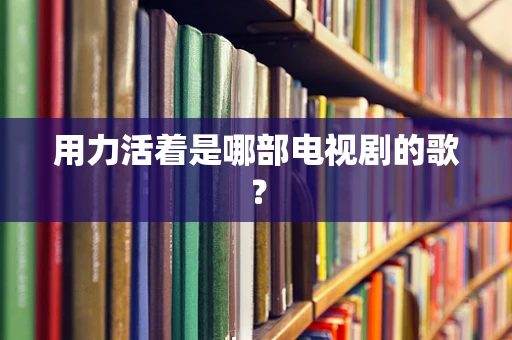 用力活着是哪部电视剧的歌？