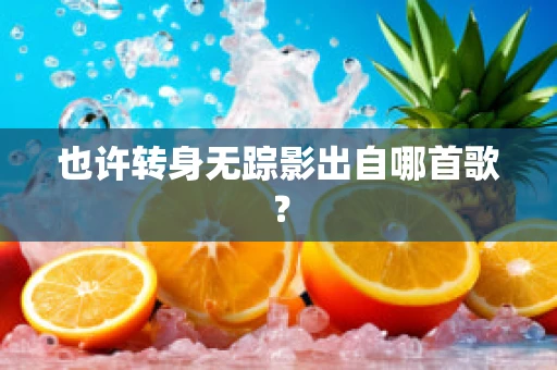 也许转身无踪影出自哪首歌？