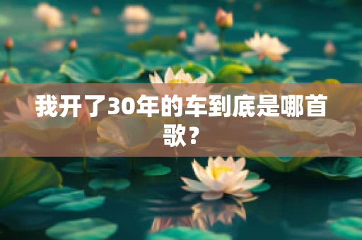 我开了30年的车到底是哪首歌？