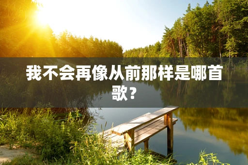 我不会再像从前那样是哪首歌？